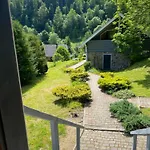віват * Oryavchyk