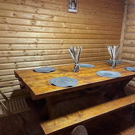 віват * Orawczyk