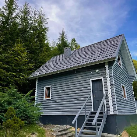 віват * Orawczyk