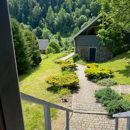 віват * Orawczyk