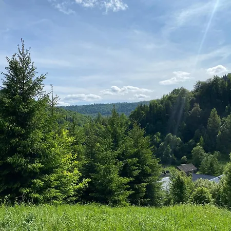 віват * Orawczyk