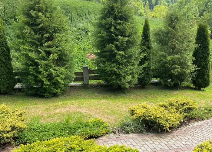 віват Maison d'hôtes *