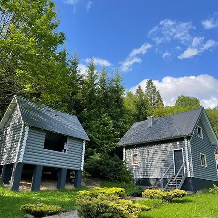 Guest house віват Oryavchyk